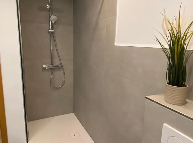 Vater Rhein Mittelrheintal Appartement *